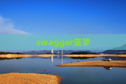 swagger菠萝